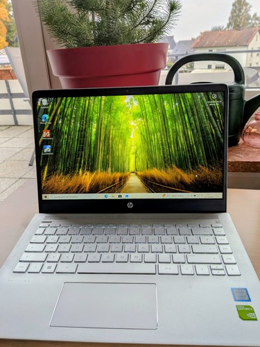 Pavilion zoll notebook - hp,